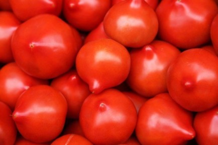 ����� ������: ��������� ����� ��� ������ ���������� ������