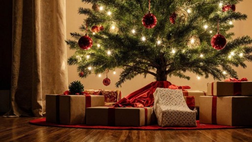 ����� ������� ���������: ������ ���� ���������� �������� 2026 ����