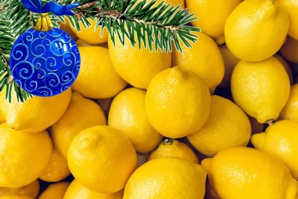 ������, ������� �� �� �����: ��� ��������� ���������� �� �������� ����