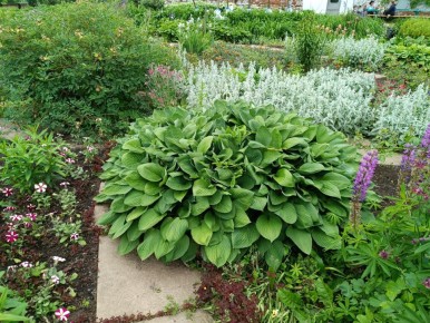 ��������-��������� ��� �����: ������� ����������� ������� �� ���������� ����� ������