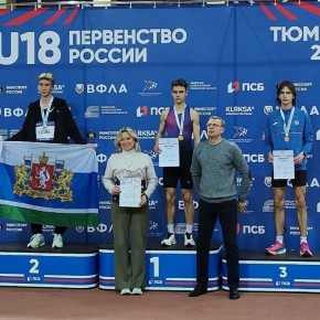 ���������-����������� ����������� ������ �� ������������� �������������