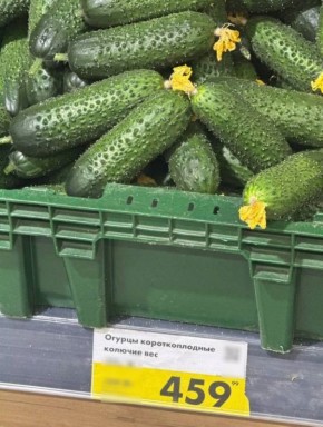 ������ ����� ������ ���� � ������������ �������