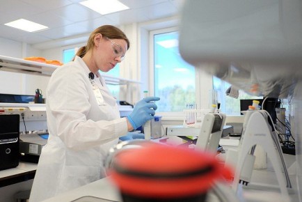 �������� ������ ������� ���������� ������ ������������� ������� ������ ��� ��� �����