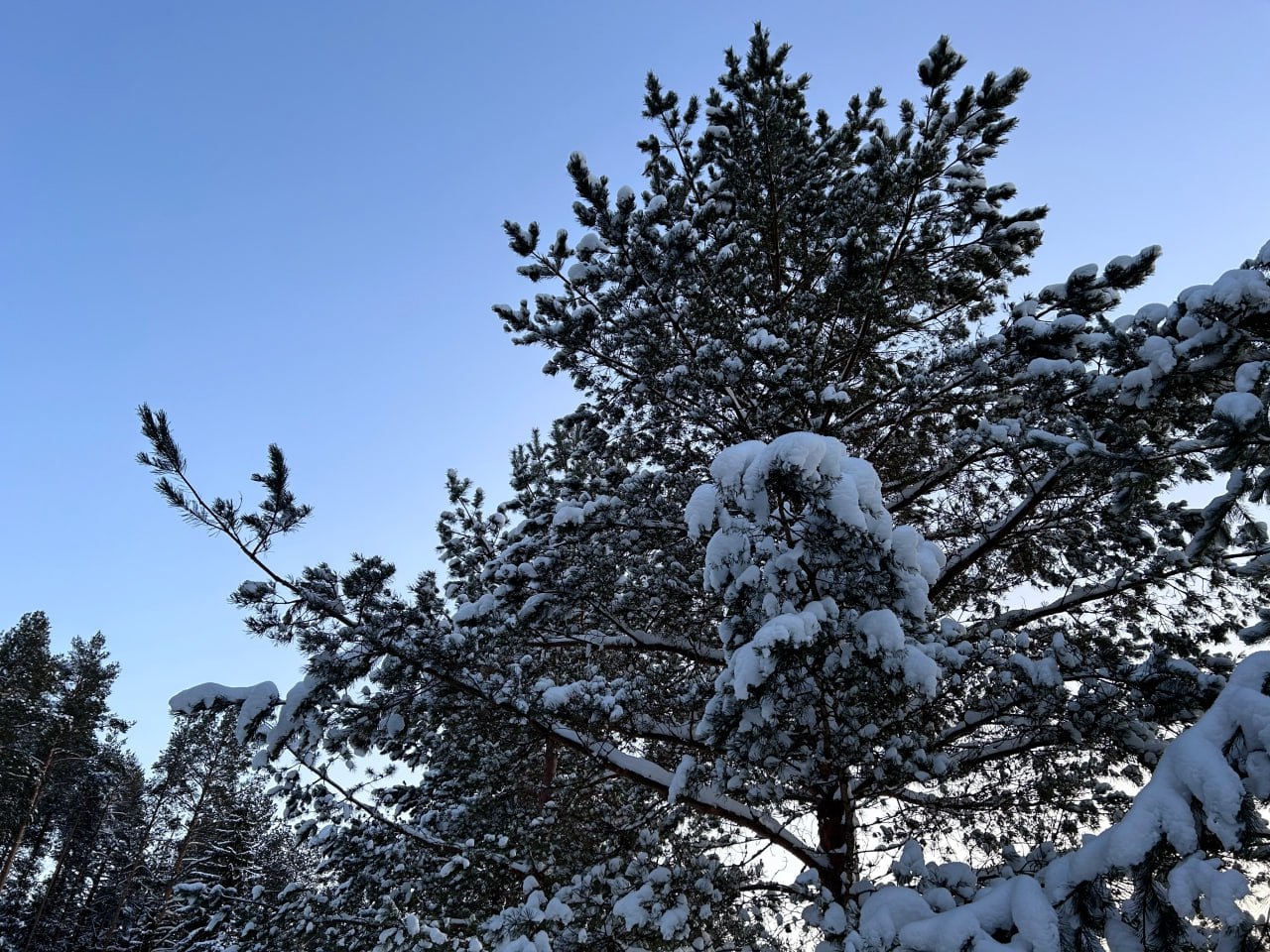 В Кирове ожидается небольшой снег