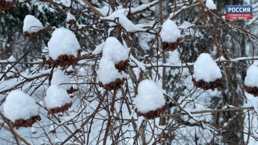 В среду, 28 января, в Кировской области ожидается переменная облачность, снег и гололедица — таков прогноз регионального центра по гидрометеорологии и мониторингу окружающей среды