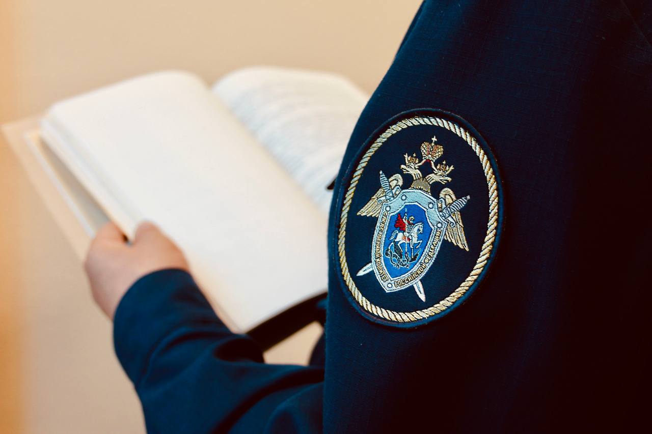 В Малмыжском районе местная жительница предстанет перед судом по обвинению в незаконной рубке лесных насаждений