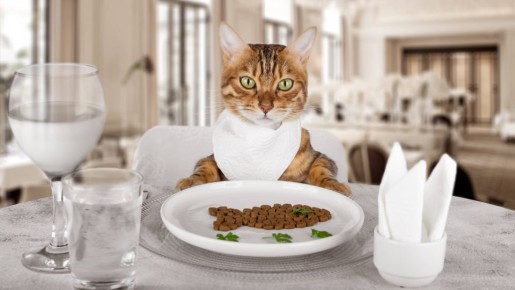 ����, ��� ������� ������: ������� ��� � ������ ����� ���� ������� �����