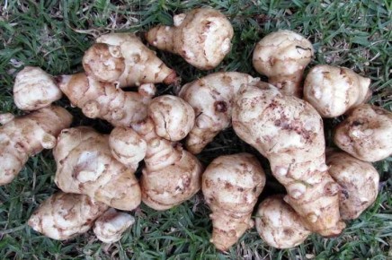 ��� ��������� �������� � ������� ����������: �� ���������� �� ���� �������