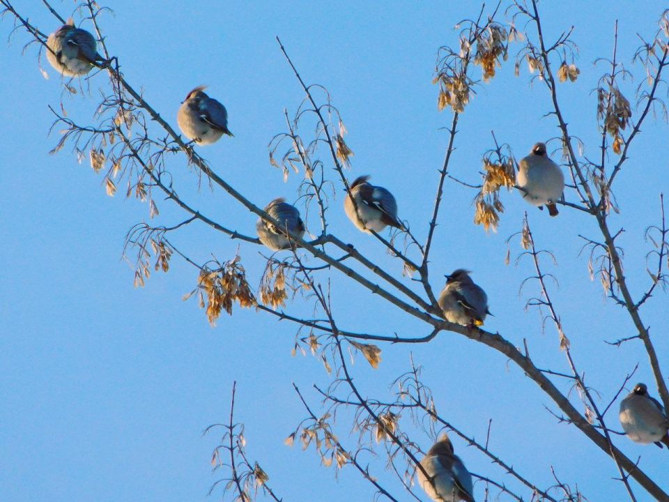 #�������. �����: ����� ��������