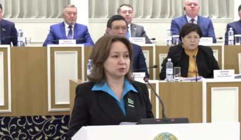 ��������������� ��������: ��� ����� �������� ������� ������ �����������