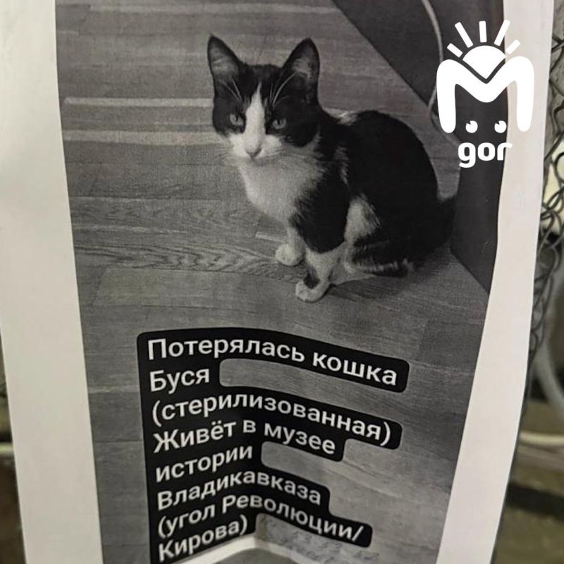 ����������, ���� ����������������