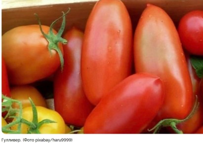 ������ � ���������: ��� ������ �������� ������� ��� ������ �������