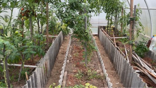 ����������� ������ ������ � ���������� � �������: ��������� ����������