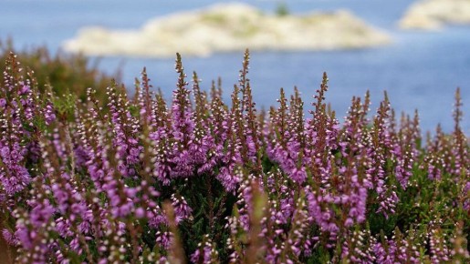 ������: ��������� �������� ��� ������ ����