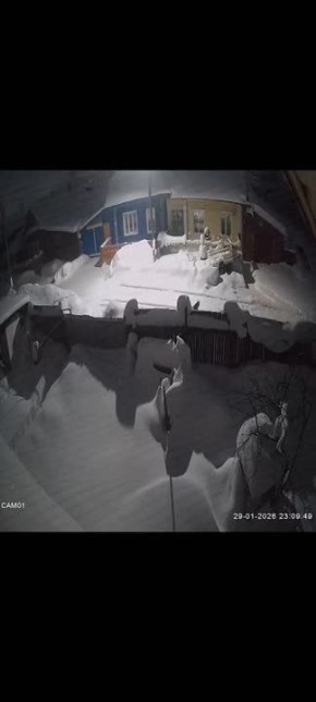 По улицам Котельнича гуляла дикая рысь