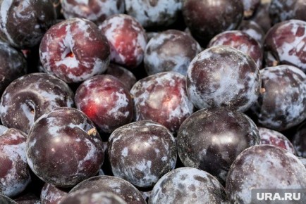 ��� ����������� ����� � ����: ������ ��������� ����������������