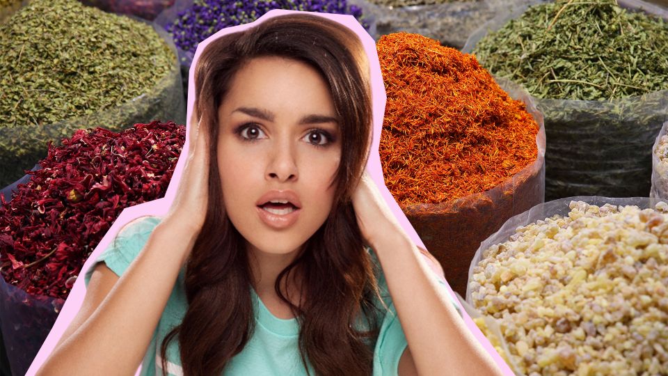 �������� ������ �����: ��� ������ ��� �������� �� ����� �������� �����