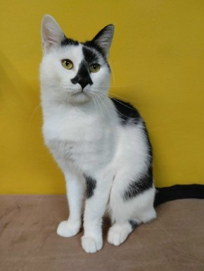 ��� �� ������ ����� ���� ���