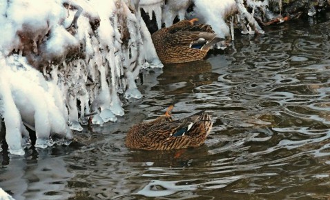 2300 ���� ������ �� ����� � ����� � �����