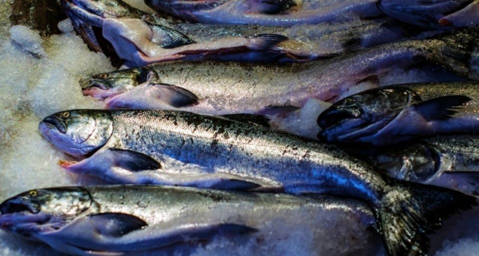 ��� ������� ����� �������� ����: ������ � ������� ��� ��������� �������