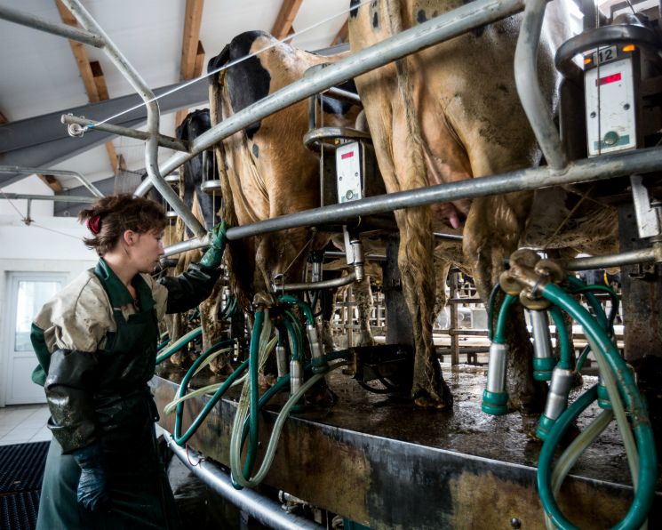 �������������� ������������ ����������� �������������� �������� �������