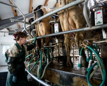 �������������� ������������ ����������� �������������� �������� �������