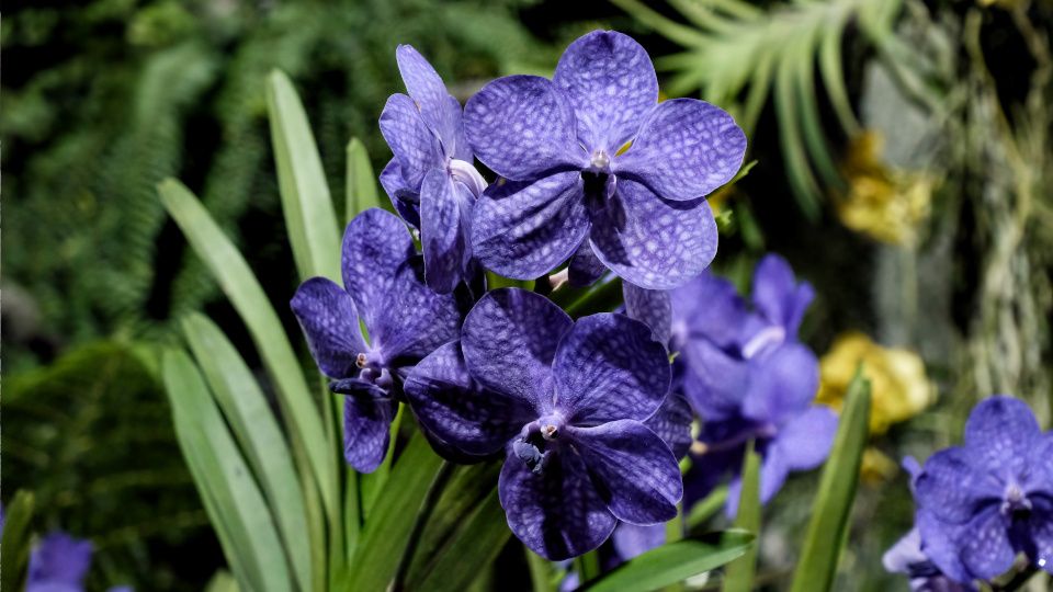 ��� ������� ������� ����� ����� ��������� ����