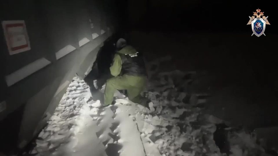 �� ����� ����� ������� ����������� ������������ ���� �� ������ �������� �������� �� �. 1 ��. 263 �� �� (��������� ������ ������������ �������� � ������������ ���������������� ����������, ��������� ���������� �������� ������)