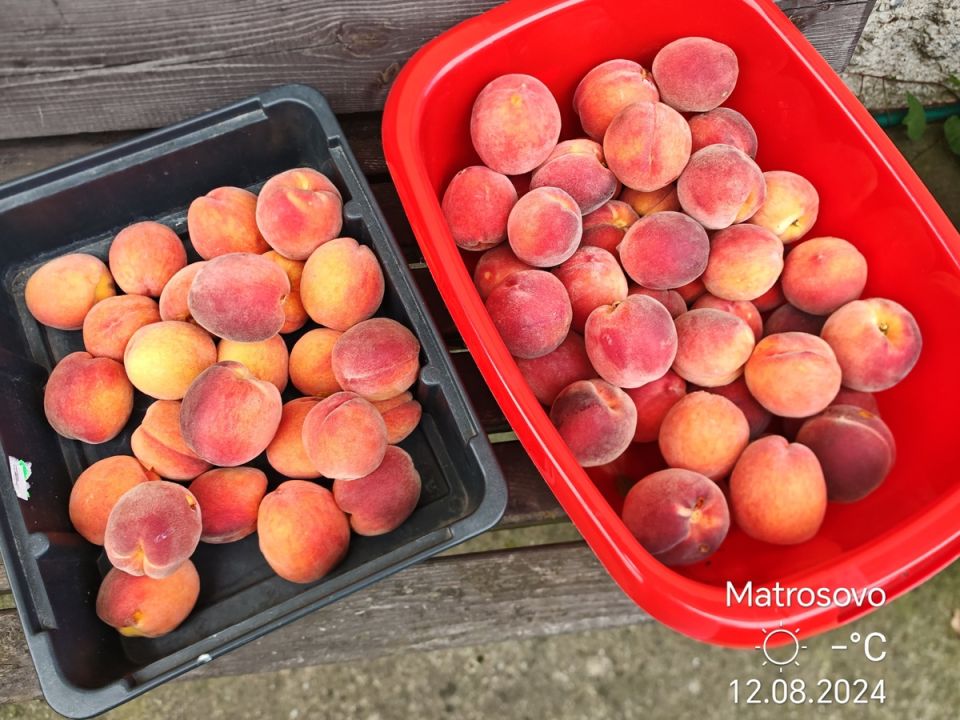 ������ � ��������� � ���������: ��������� ������� ��� ������ ����