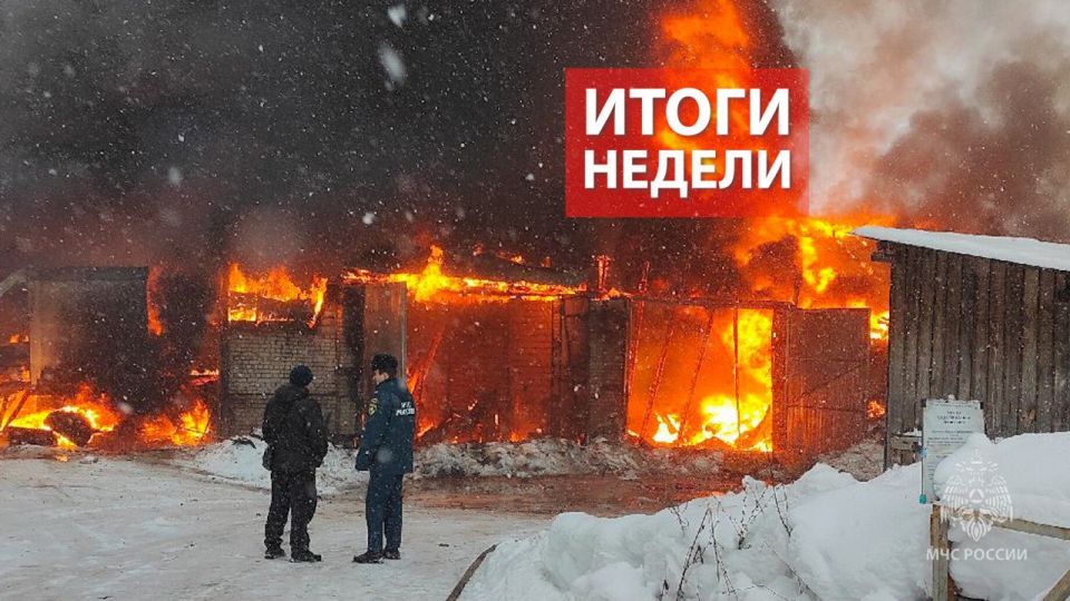 #�����������. � 26 ������ �� 1 ������� �� ���������� ��������� ������� �������-������������ ������������� ������������� 38 ����������� �������, ������ 3-� �������