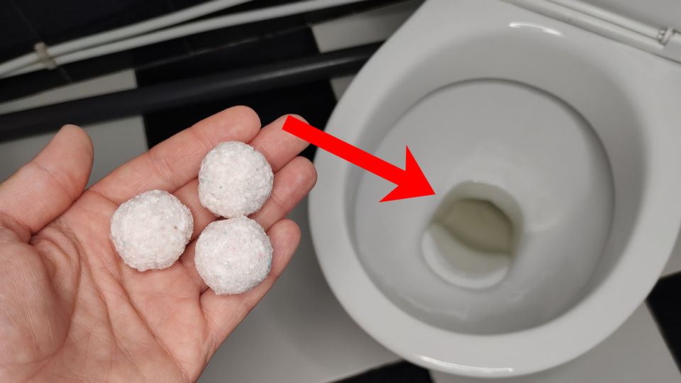 ��������� ������ ��� ������ �������: ������ � ����������