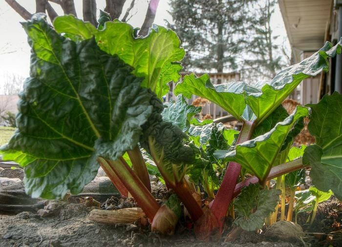 ��� ��������� ������� ����� ������ �� ����� �������