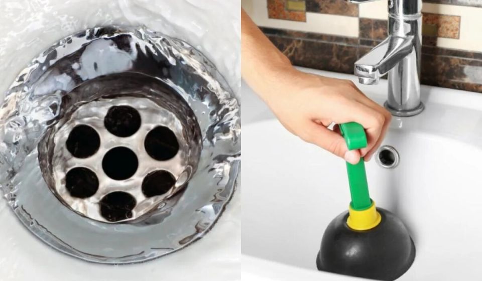 ����������� ������ ����� �������� �������: ���� �������� ������ ������