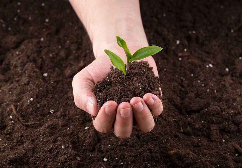 ��� ���������� ����� ��� ��������� � ��������: ������� ������