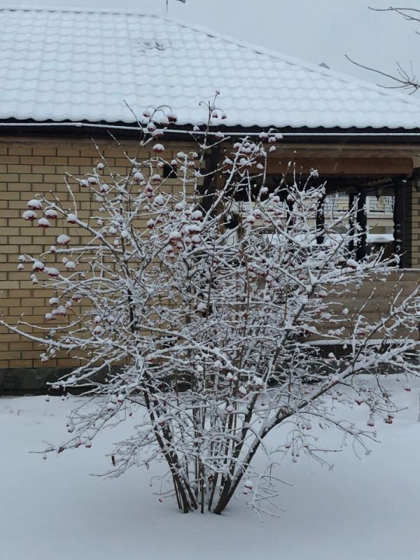 ��� ������� ������, ����� �������� ���: ���������� �����