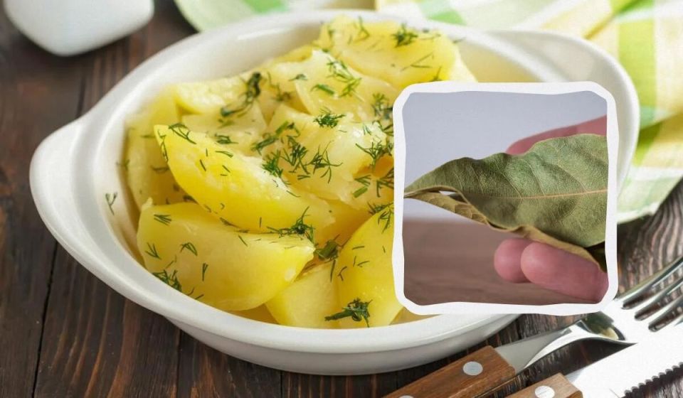 ����������� ������� ������� �������� ��� �����