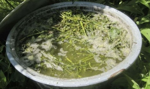 �������� ������ � ����: ������� ������������� � ����������