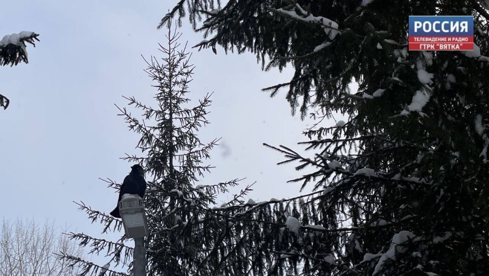 �� �������, 3 �������, � ��������� ������� ������������ �������� � ������������ ������, ��������� ���� � ���������� �� �������