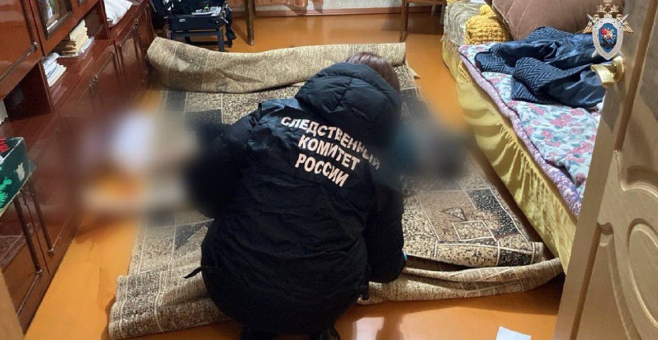 Октябрьский районный суд вынес приговор 46-летней кировчанке, виновной убийстве 75-летней родственницы и краже