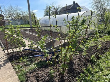 ������, ������� ����� �������� ������� �� �������