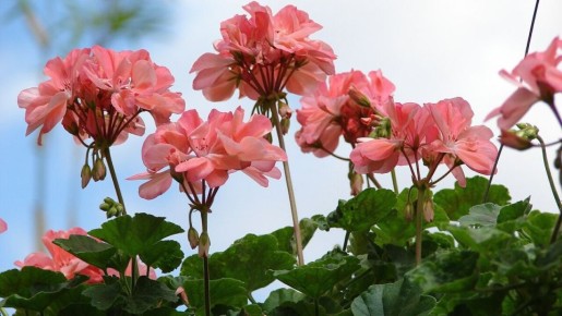 ������� �������� ������: ��� �������� ����� ������