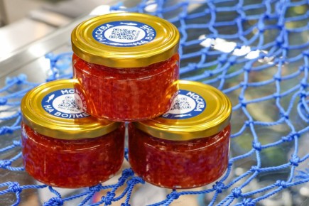 ���� ������ �� �������� ���� �������� ���������� �����