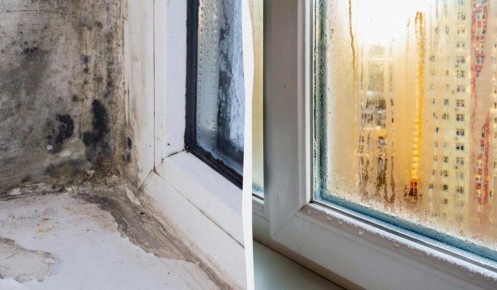 ��� ��������� ��������� ���� �����, ����� �������� ���������� � �������