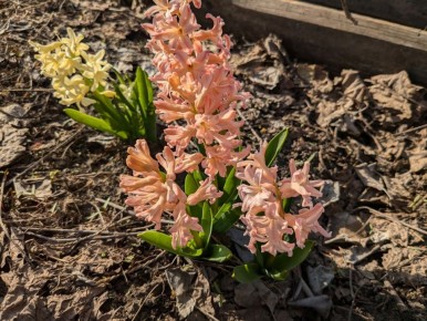 �������� ������� � ��������: ��� ����� �� ������ ��������� �� �����