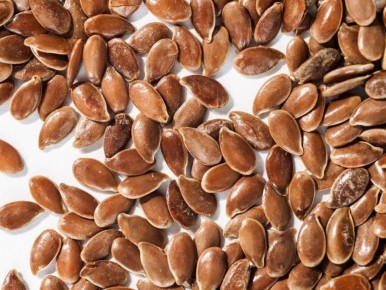 ��� ����������� ����� ����� �������� ���� ������� ����������