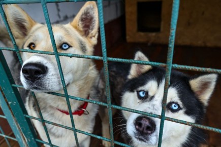 � ������ ���������� ���������� ������� ��� ���������� �������� ��������