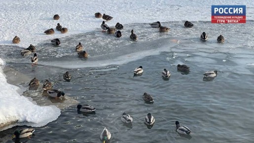 � ����� � ��������� ������� ������� �� -22 ��������