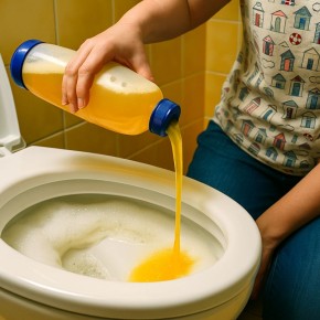 ��� ������ ����� ���� ������ � ��������� ��� ������������� �����