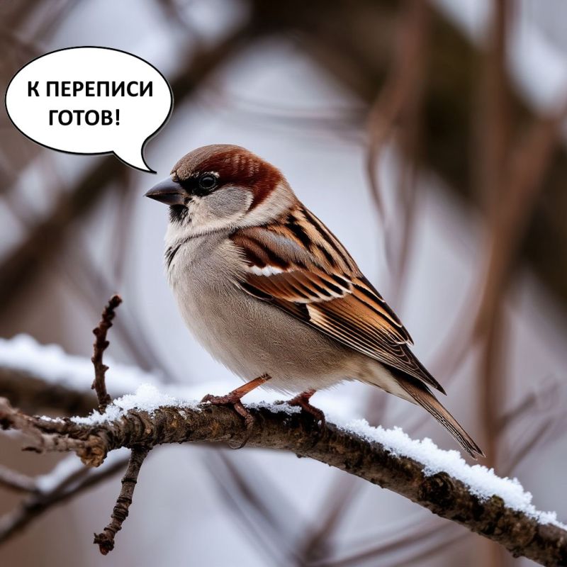 ������� �� ����� �������. � �������� - �����