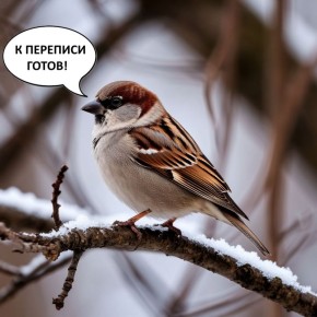 ������� �� ����� �������. � �������� - �����